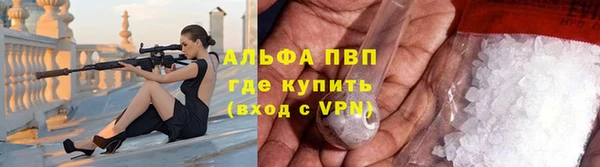 PSILOCYBIN Карпинск