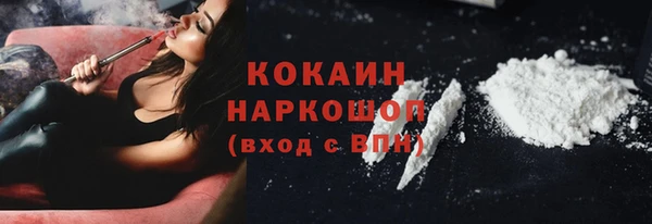скорость Каменка