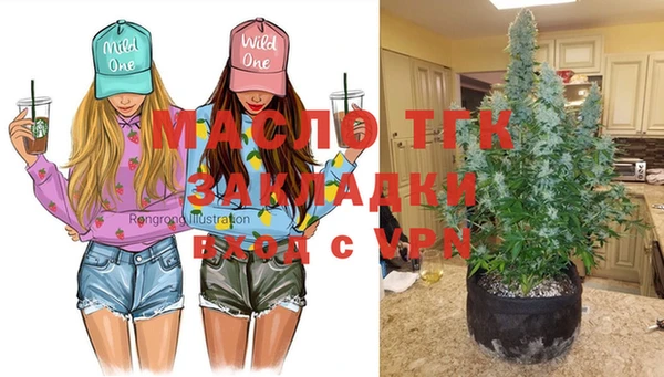 гашик Россошь