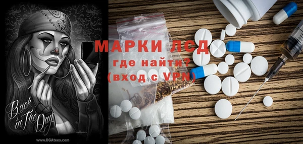 PSILOCYBIN Карпинск