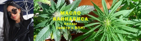 скорость Каменка