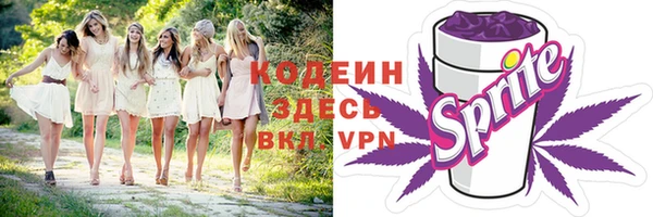 скорость Каменка